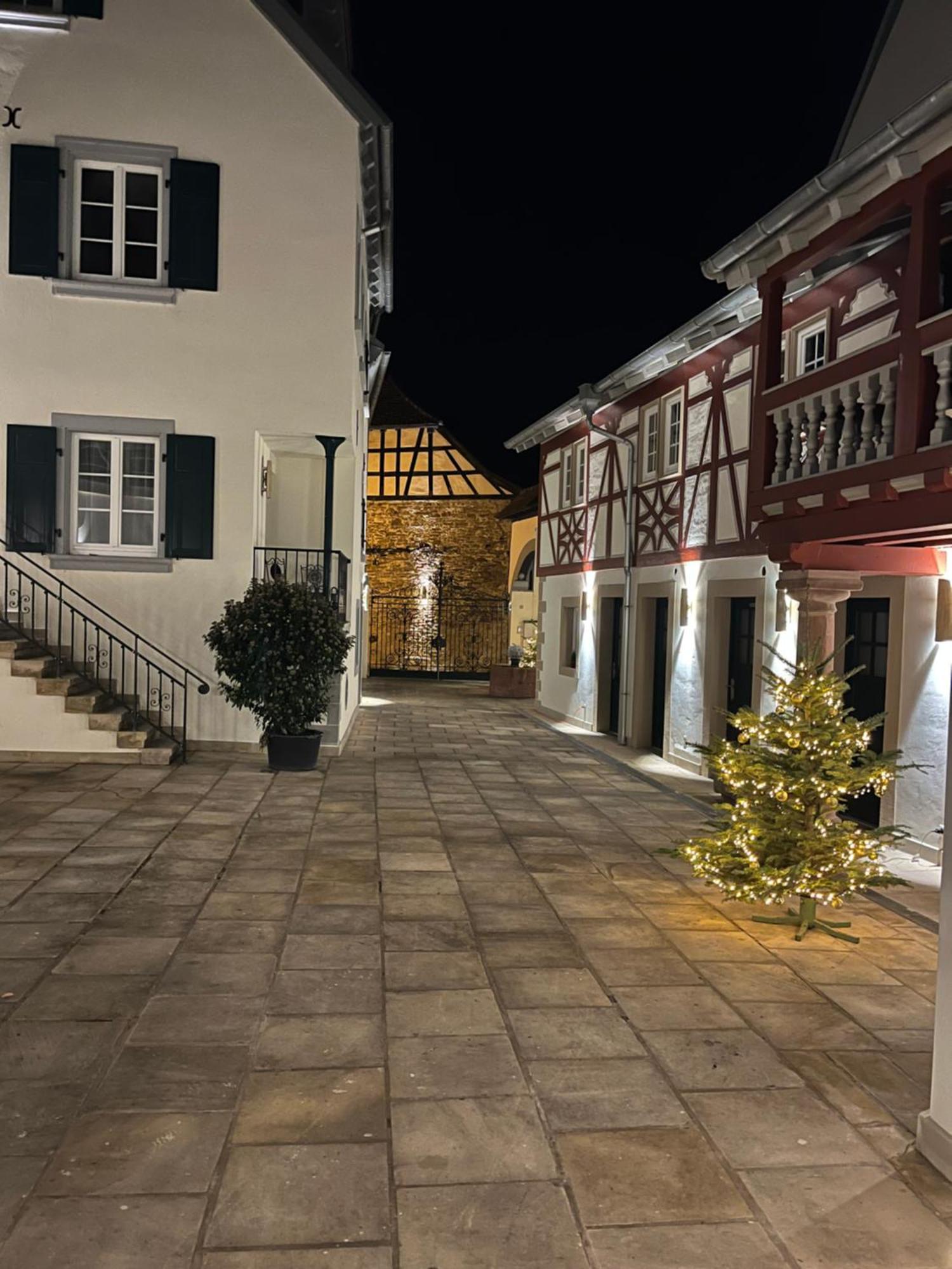 Karlbacher Domizil Ferienwohnungen Grosskarlbach Exteriér fotografie